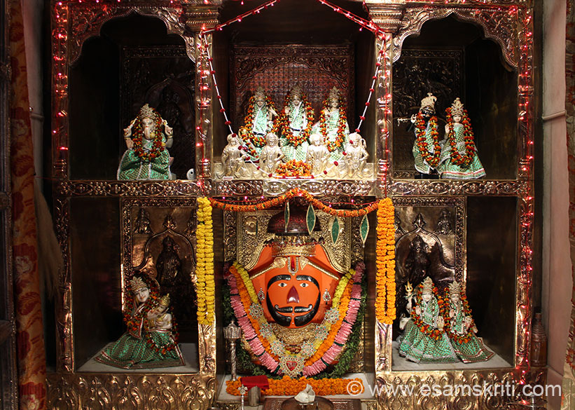 Preview Image 1
