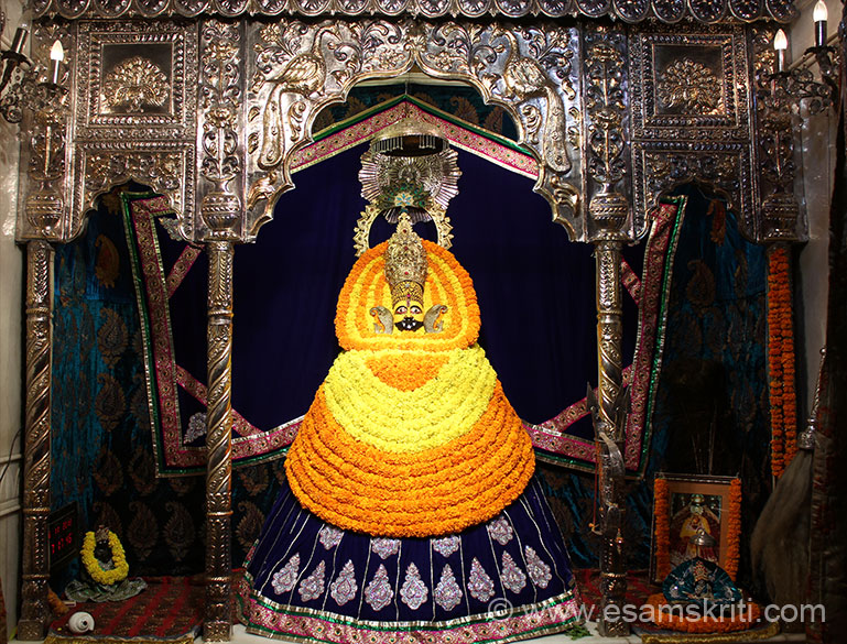 Preview Image 1